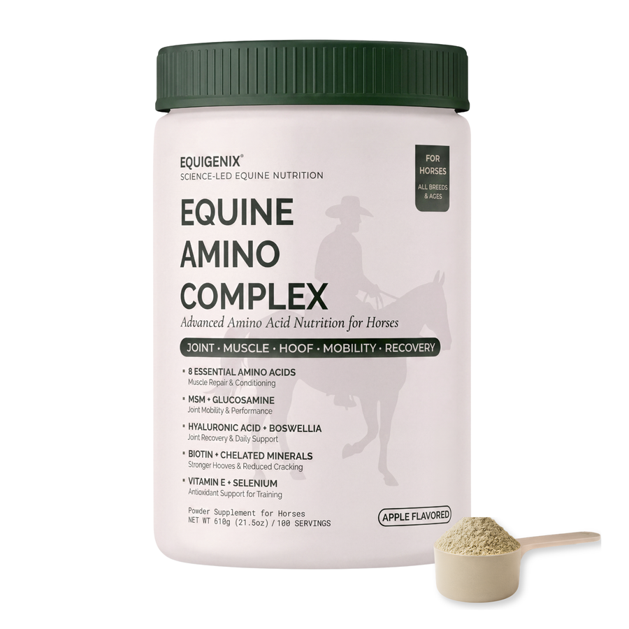 Equigenix Equine Amino Complex